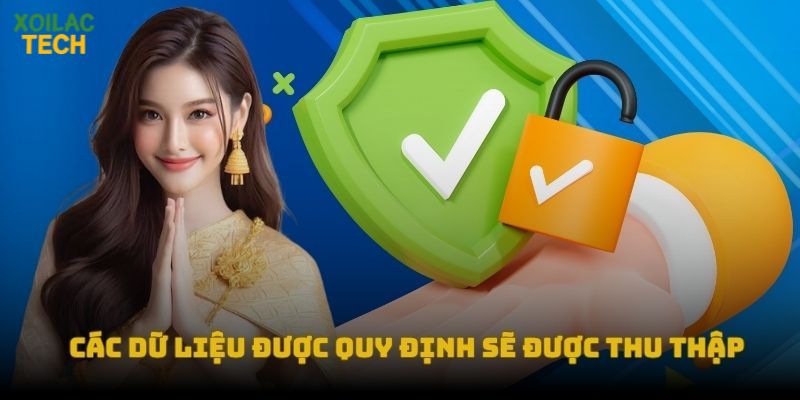 Các dữ liệu được quy định sẽ được thu thập tại chính sách bảo mật