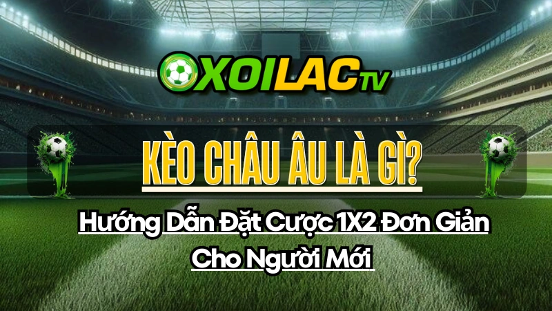 Kèo Châu Âu Là Gì? Hướng Dẫn Đặt Cược 1X2 Đơn Giản Cho Người Mới